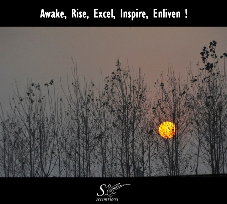 Purpose, Passion, Perseverance