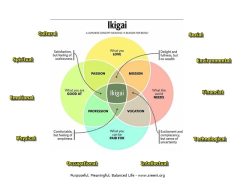 IKIGAI modified